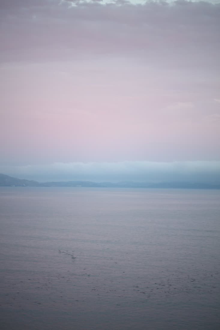 Where the Blush Horizon Dissolves